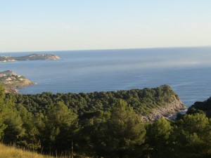 IMG_3707 (Medium)